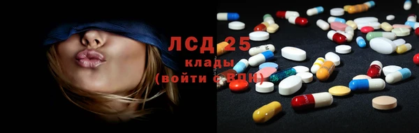 ГАЛЛЮЦИНОГЕННЫЕ ГРИБЫ Балабаново