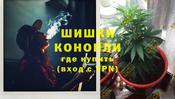 дживик Балахна