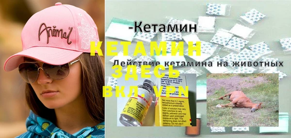 ПСИЛОЦИБИНОВЫЕ ГРИБЫ Баксан