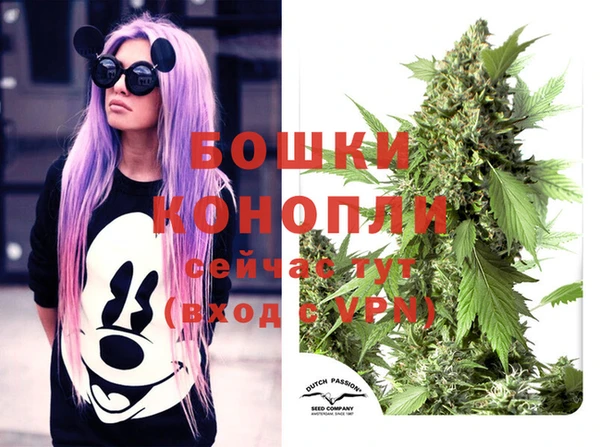 ГАЛЛЮЦИНОГЕННЫЕ ГРИБЫ Балабаново