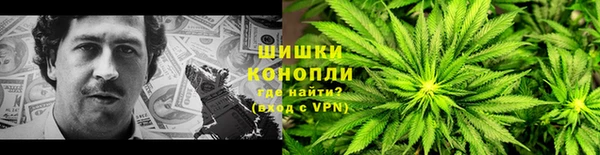 ПСИЛОЦИБИНОВЫЕ ГРИБЫ Баксан